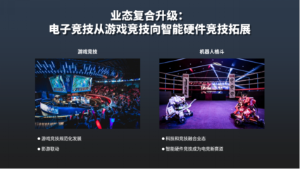 中國文化和科技融合發(fā)展戰(zhàn)略研究報告(2021)聚焦電競信息科技